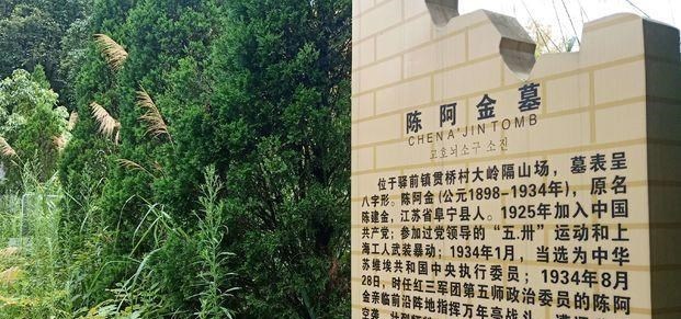 「」安葬高山之巅红军师政委,第五次反围剿牺牲,八十五年后家人祭奠