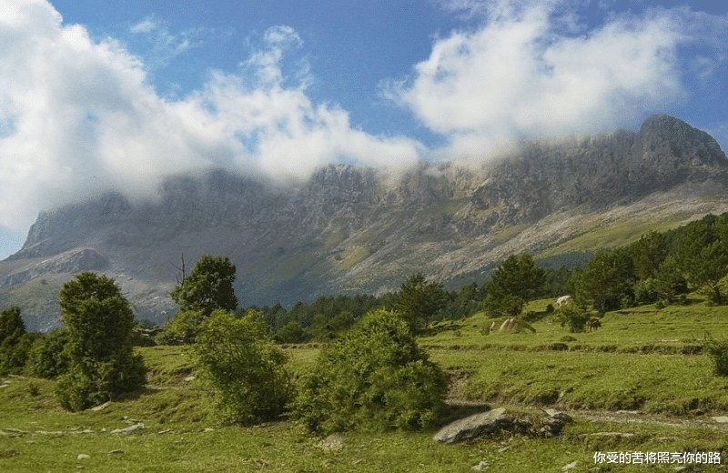 生肖|7月下旬开始财气大旺，财运亨通，事业大成，家里藏福