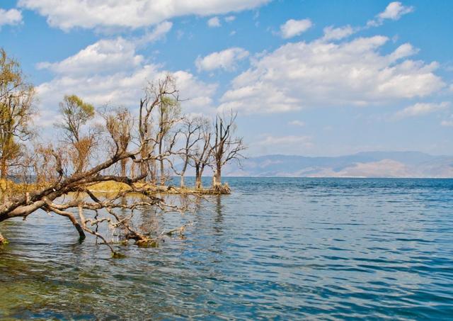 景区门票|好消息！我国知名旅游大省官宣：今年A级景区门票全部半价或免费