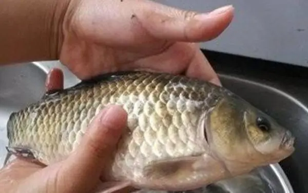 「」最适合夏天用的2种钓法，一上午就能连杆不断！