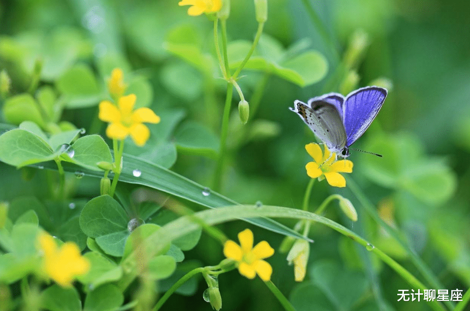 穿衣搭配|下月，注定要逆袭的4个星座，不可小觑的事业，也会突飞猛进