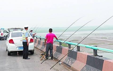 鳄鱼|钓鱼人到底该何去何从？一边各种限制禁钓，一边又有巨蟒鳄鱼
