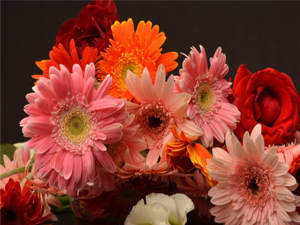 「生肖」不用做家务的3个生肖女，老公宠爱，家庭生活轻松惬意