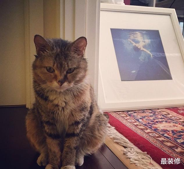 |“央视男孩”尼格买提的家，地面铺满名贵地毯，把日子经营成了诗