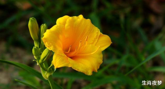 「生肖」7天后，爱如暖阳，心如潮水，3生肖刚柔并济，再爱一次，回心转意