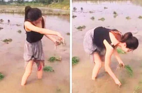 赵丽颖：为何赵丽颖结婚生子后热度依然不减，看完这些照片时，就知道答案了