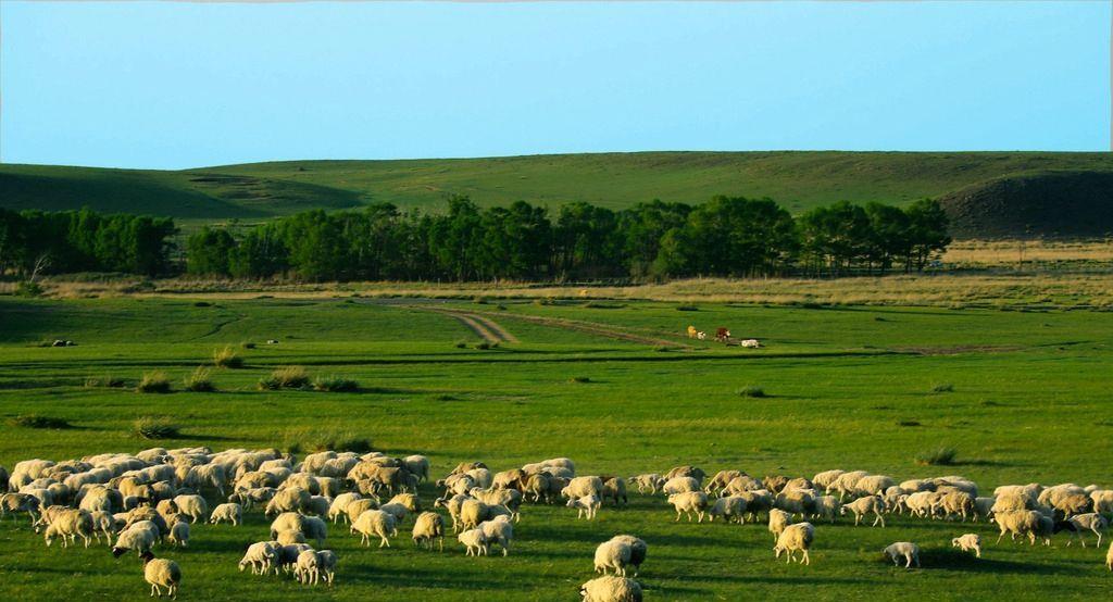 『上海市』一生中必须要去的三个城市，没钱也要去看看，你去过吗？