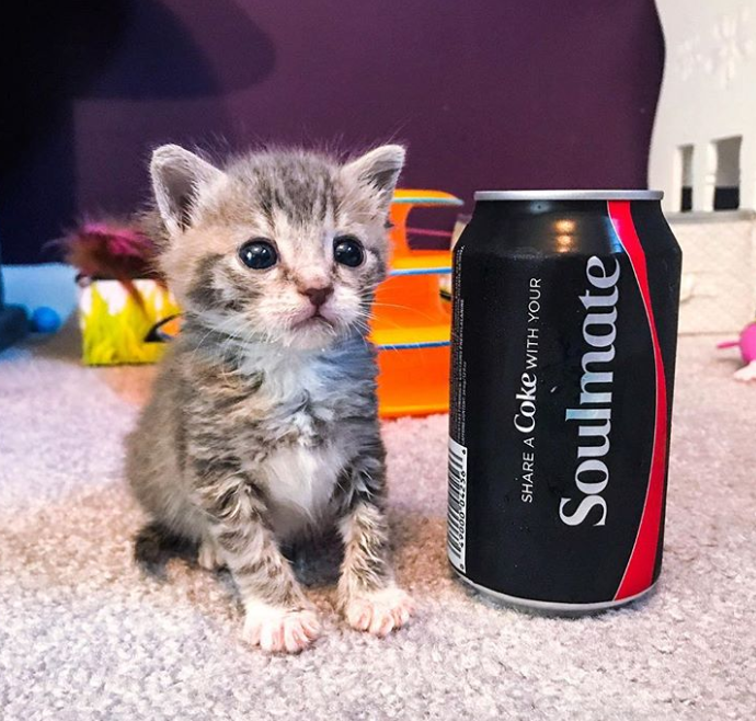 「」盘点那些，你以为很小，其实很大的事物！