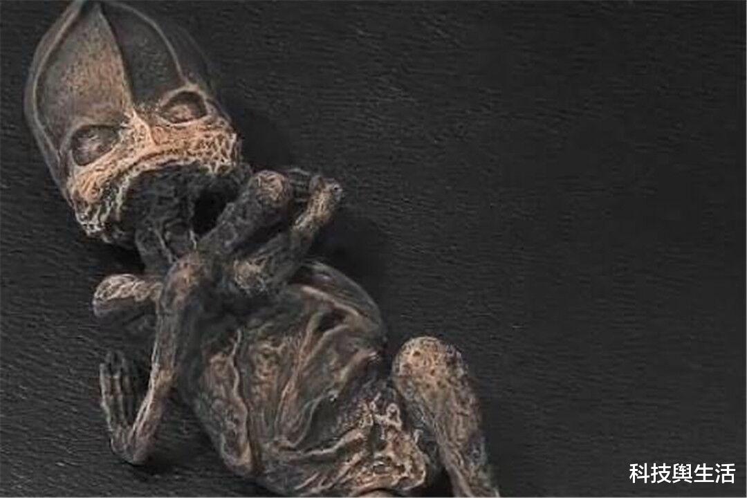 外星人|传闻俄罗斯奶奶曾收养外星人？身高不足20厘米，究竟从何而来？