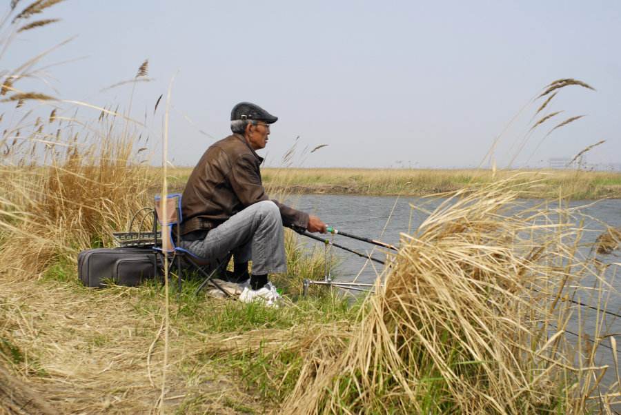文物|钓鱼却钓出一头千年老鳖，身上插着4根箭，如今成了国博镇馆之宝