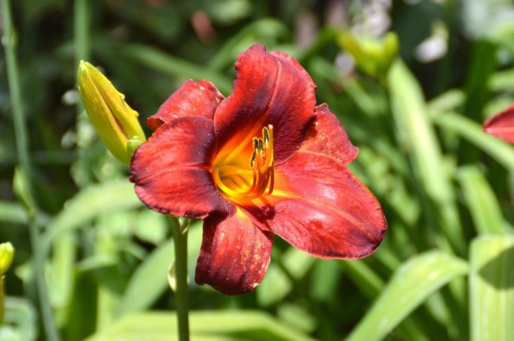 生肖|未来30天，桃花运最旺盛，真爱躲都躲不掉，顺利脱单的4大生肖