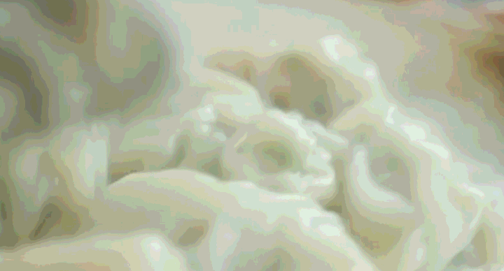 饺子|从来没吃过这么棒的饺子，味道真是独一无二，端上桌就被抢光了