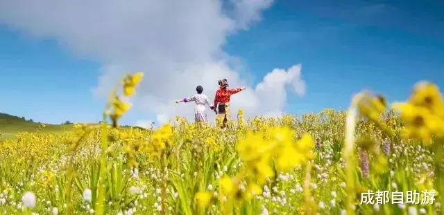 『川西』不输俄么塘！川西又一冷门万亩花海开放，不收门票，赏花观云还不打挤