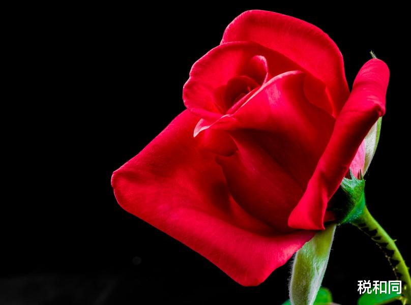 运势■3生肖7月8号日子不再苦,贵人也来提携,幸福降临,运势走上上签