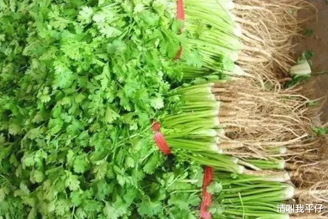 咳嗽@天然的“止咳药”找到了，用来煮水喝，清热解毒，止咳祛痰！