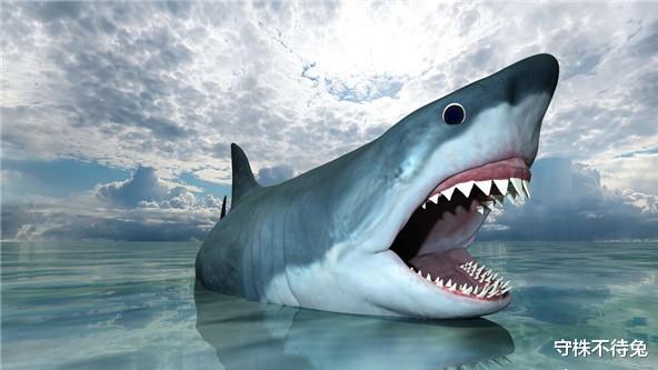 |23个冷知识：学校里不会教，或许只有少数人知晓