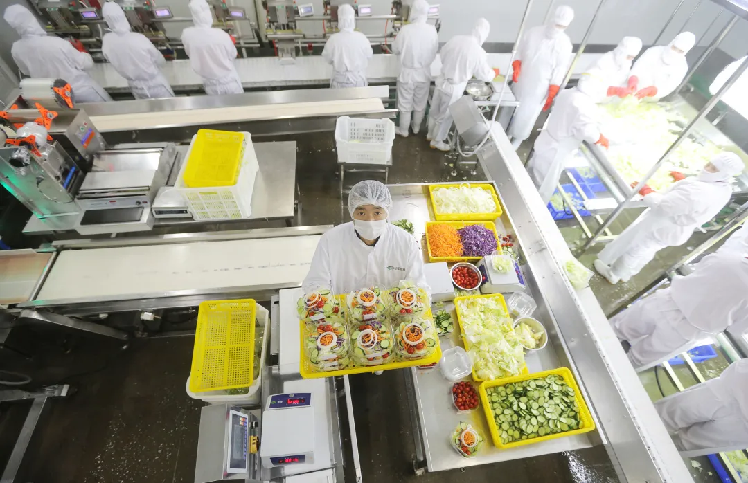 餐厅|别不信，麦当劳可以吊打景区美食