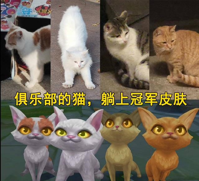 「fpx战队」FPX冠军皮肤“隐藏彩蛋”，官方在LWX的VN皮肤下面加了一段话！