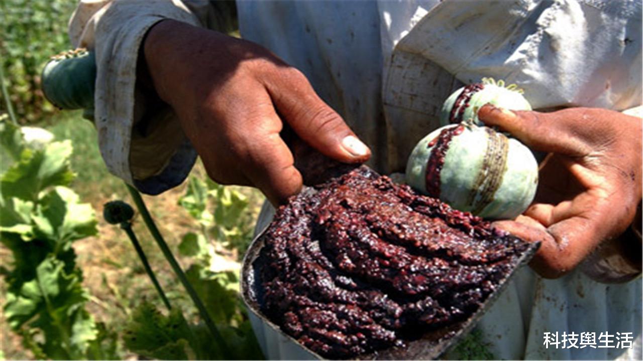 |臭名远扬的3大发明，被人类利益驱使，如今成为“害人工具”！