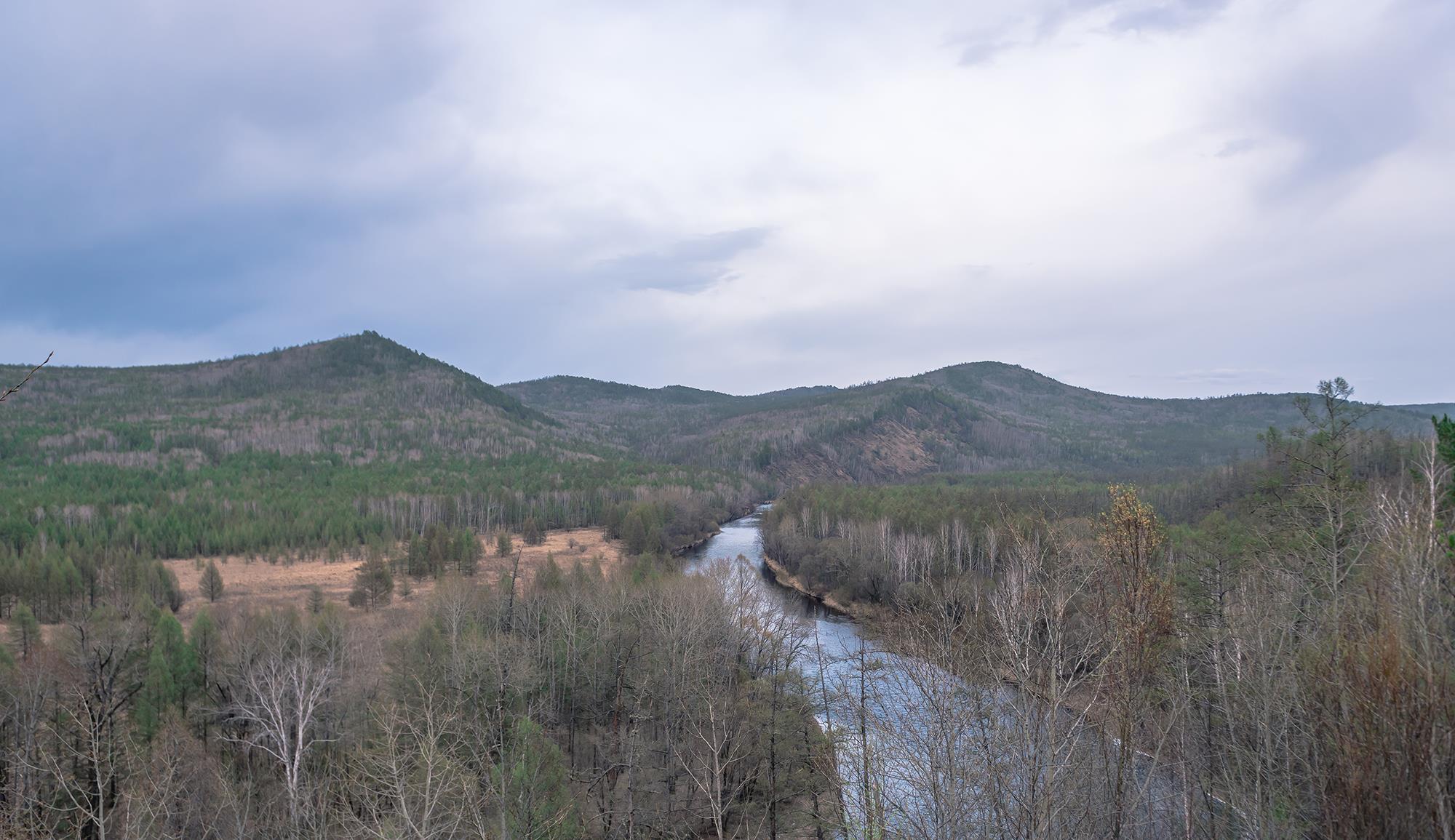 大兴安岭:大兴安岭最地道的美食:每年只生长两个月,真正的吃货才能找到