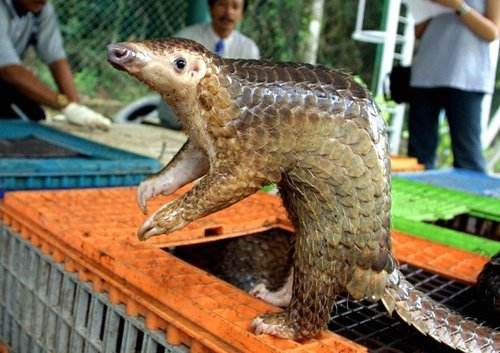 深圳市▲今年，农村3种行为将不再“容忍”，村干部带头严查，希望没你