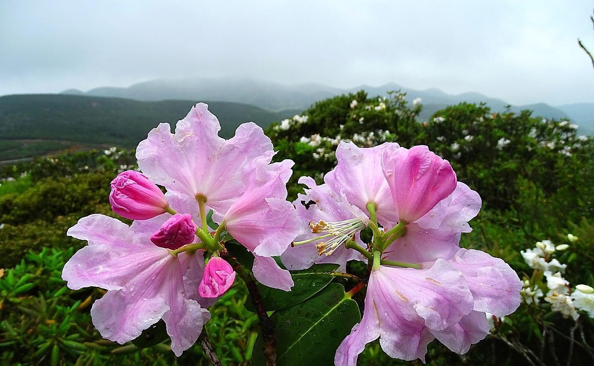 【白羊座】7月情比金坚，誓不放手旧爱，早晚重归于好，恩爱如初的3个星座