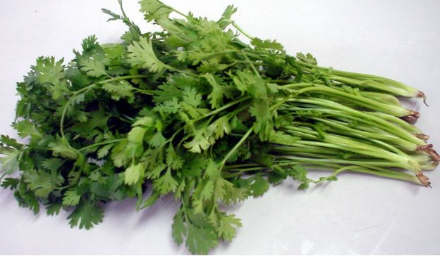 苦瓜@春天“养生”黄金季,3种菜虽难吃,营养价值却出奇的高