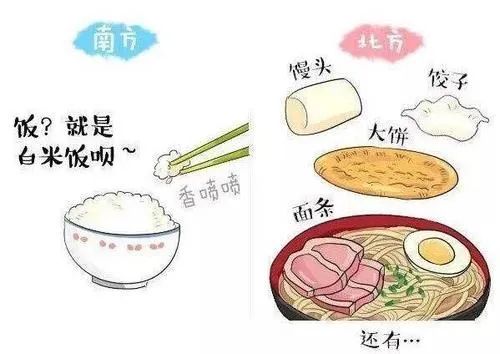 大白菜|看一次笑一次！你家买白菜了吗？