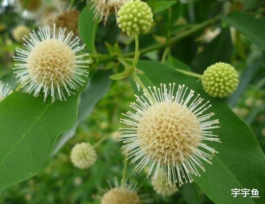 |9月中旬开始，鸿运当头，4属相财路大开，富贵盈门，收获满满