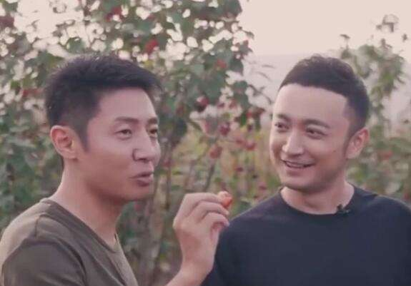 撒贝宁|央视主持人再晒合影！康辉稳坐C位，撒贝宁遭尼格买提故意P图