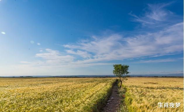 巨蟹座|10月，命中注定，非你莫属，用心付出，专情等待，祈祷回心转意的3大生肖