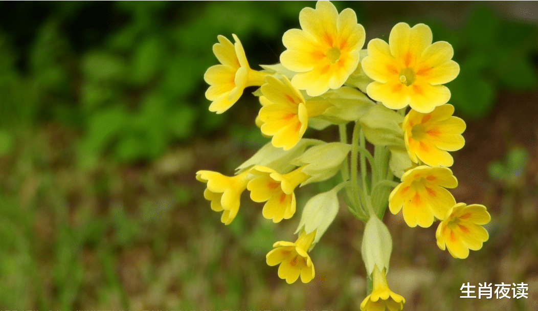 |11月下旬,前任为爱煎熬,不负故人深情,红鸾星动,情牵梦绕