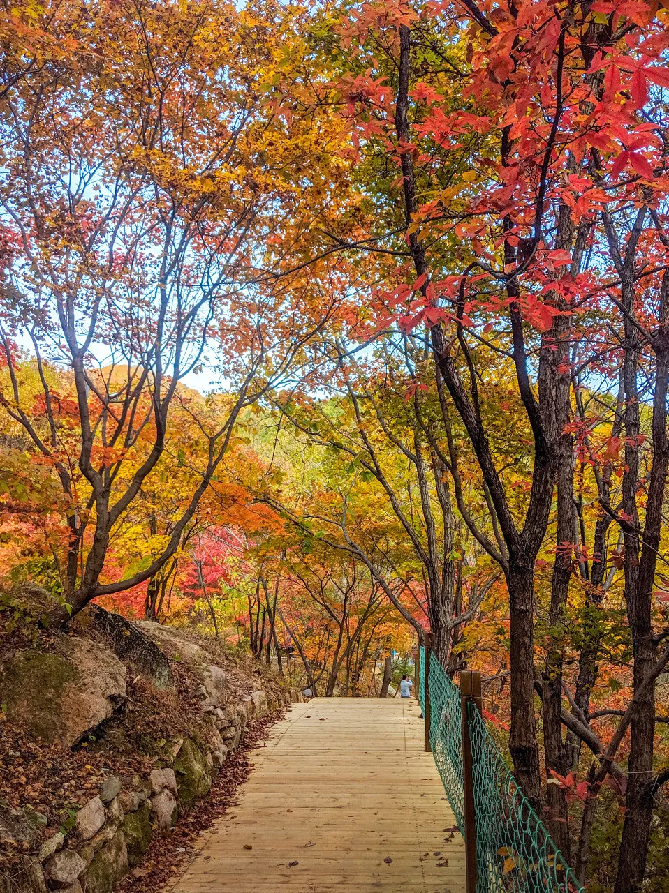 长白山|秋天的东北藏不住了，一组照片流出后，全世界都被惊艳了！