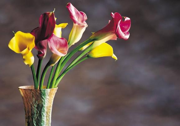 拥抱|未来半年最有可能拥抱幸福的4个星座，感情的机遇别错过