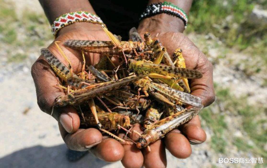 『越南』越南停止粮食出口后，许多国家也开始“跟风”，我国却乐观对待