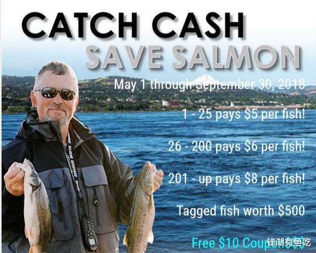 澳大利亚|澳大利亚发布垂钓悬赏,钓到一条带标签的鱼,最高奖4.8万人民币