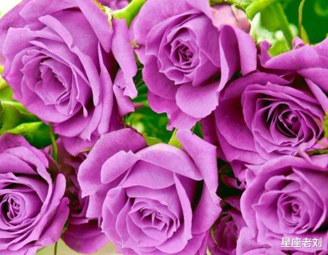 年龄再大都喜欢打扮自己的3个生肖女，大方漂亮有气质，内外兼修