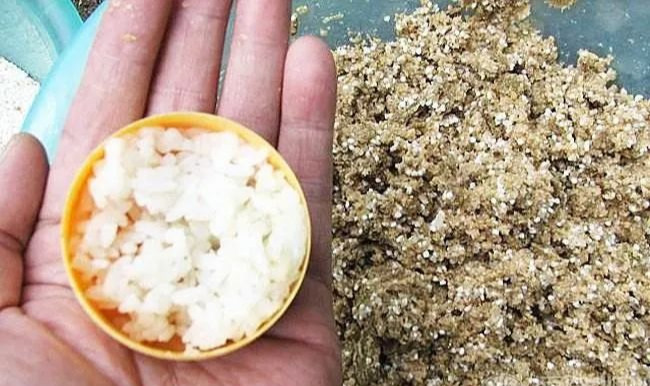 「」初春钓肥水，饵料味型还得这样选——盛世三渔