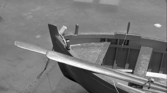 蛇颈龙|俄罗斯63年前现巨型水怪,长15米似大卡车,至今不知是何生物