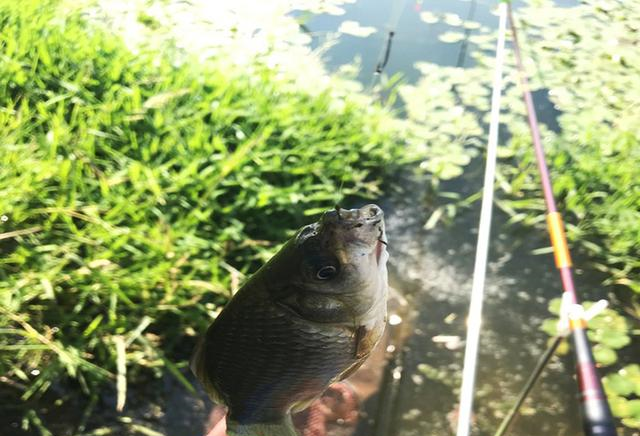 【】新手钓友牢记钓鱼7忌，虽然不能助你多钓鱼，但也能不让你放炮