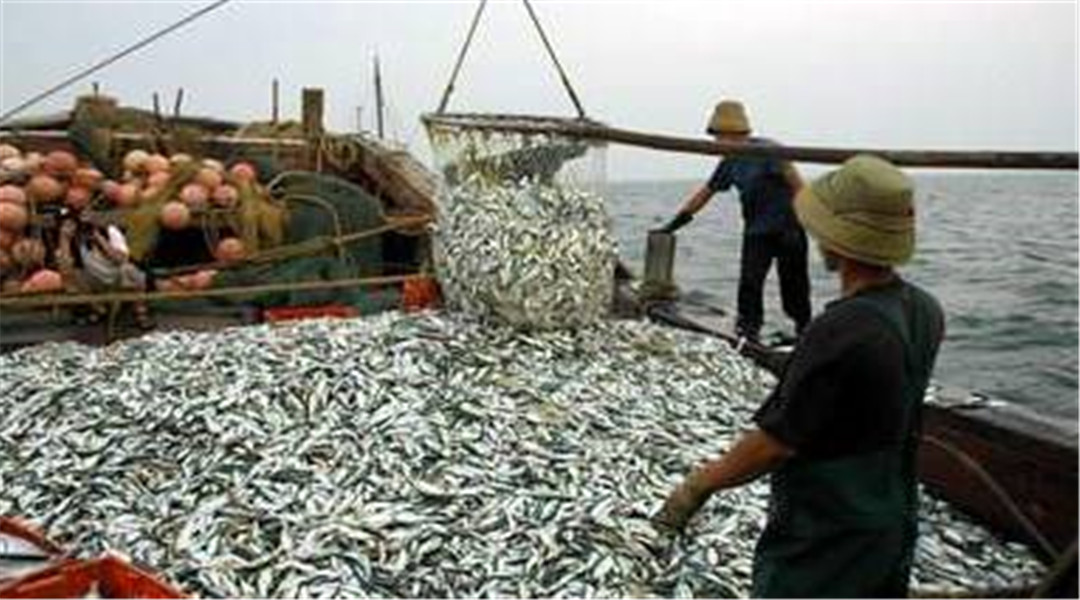 美国|蓬佩奥下达“最后通牒”:中必须立即终止“违法活动”!