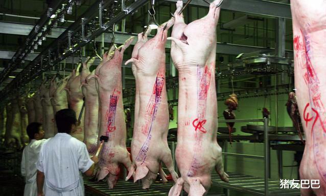 猪友巴巴|生猪出栏到消费者吃肉，中间经历几次提价？看完明白猪肉为啥贵了