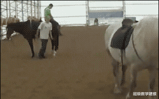 数学|喜报！中国战胜美国，又拿IMO第一！金牌得主们还没上高三，北大和清华就把人给瓜分了.......