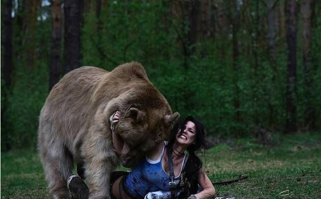 自驾■棕熊将女子从帐篷内叼走咬死，自驾川藏无人区，那些必须注意的事