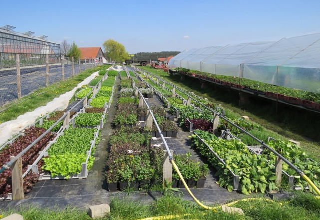 []高考填志愿，这四类专业录取分低，学生适合捡漏上名校，重点关注