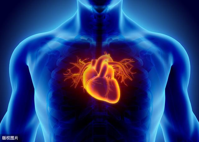 「胆固醇」心脏不好，少吃三白，保护心脏健康，谨记心脏喜欢这些