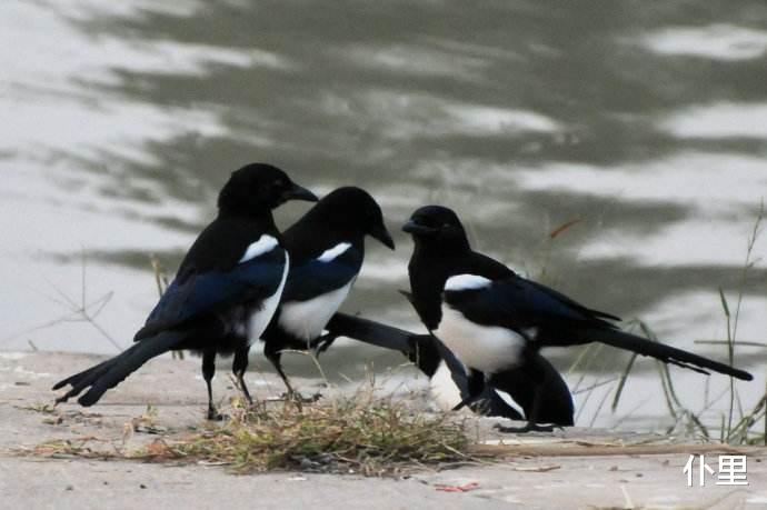 【运势】未来10天有横财，极易中大奖的3大生肖