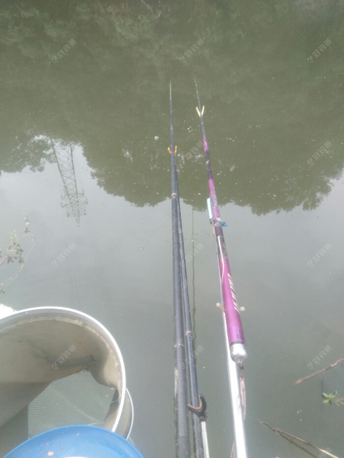 饵料|日昼温差大,鱼儿食欲差,鱼获不尽意