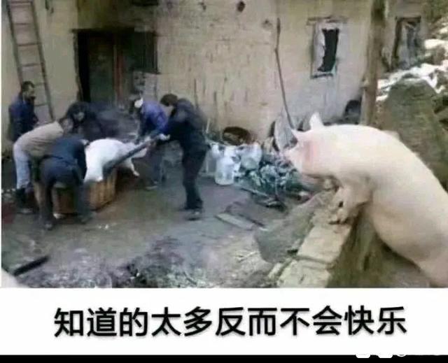 汽车|报考志愿,我为什么不建议你选择这些专业