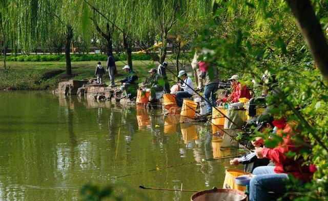 |水浅鱼惊钓不到？改掉这3个坏习惯，再浅的水也能钓